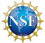 NSF