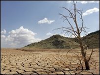 Campo afectado por sequía, foto de archivo