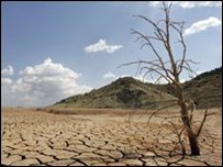 Campo afectado por sequa, foto de archivo